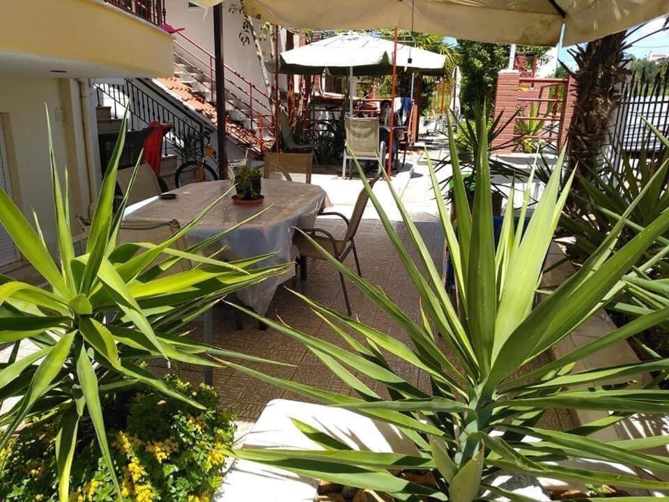 Blue Moon Apartments ネア・ミカニオーナ エクステリア 写真