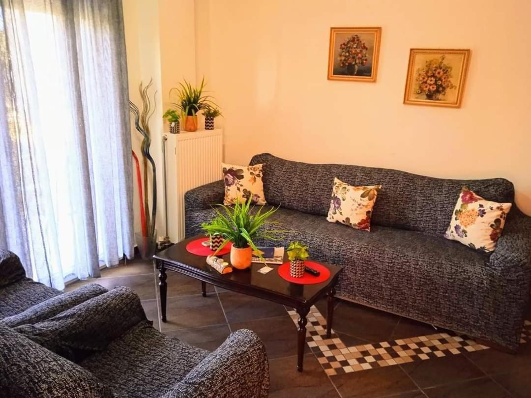 Blue Moon Apartments ネア・ミカニオーナ エクステリア 写真